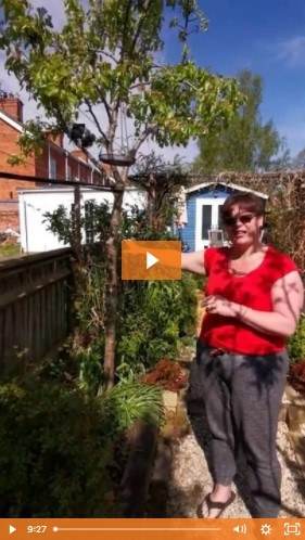 garden tour