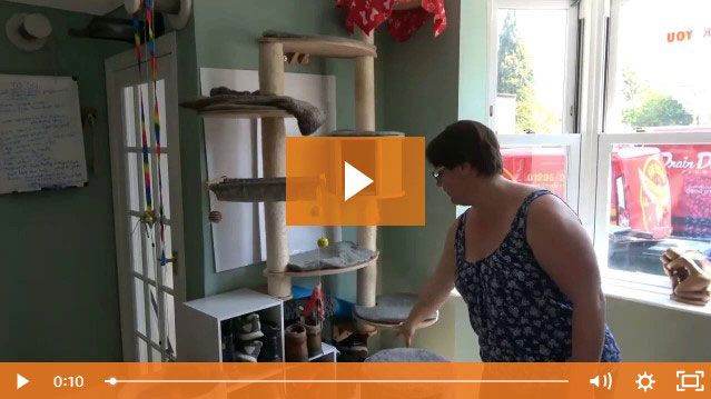 Blogs Sunday Tour Of Clares Lounge