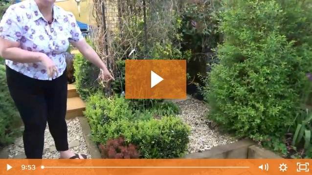 Blogs Signs Of Change