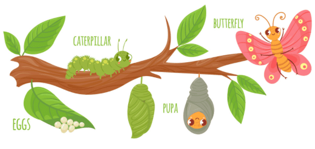 Common Characteristics Of A Clutter Clearer