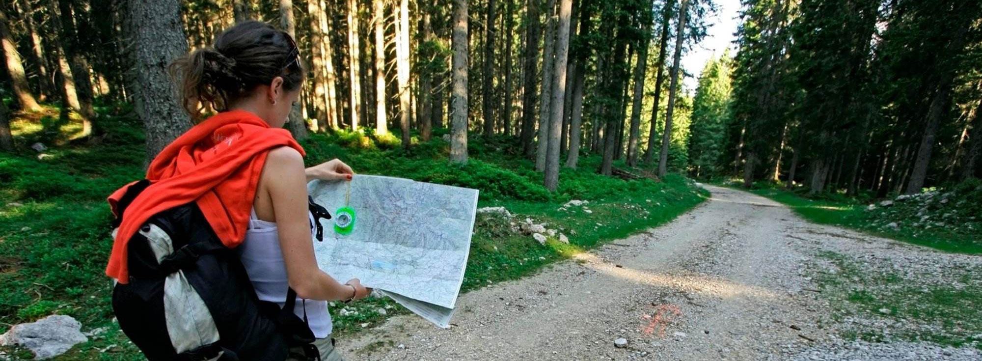 7-step-journey-img