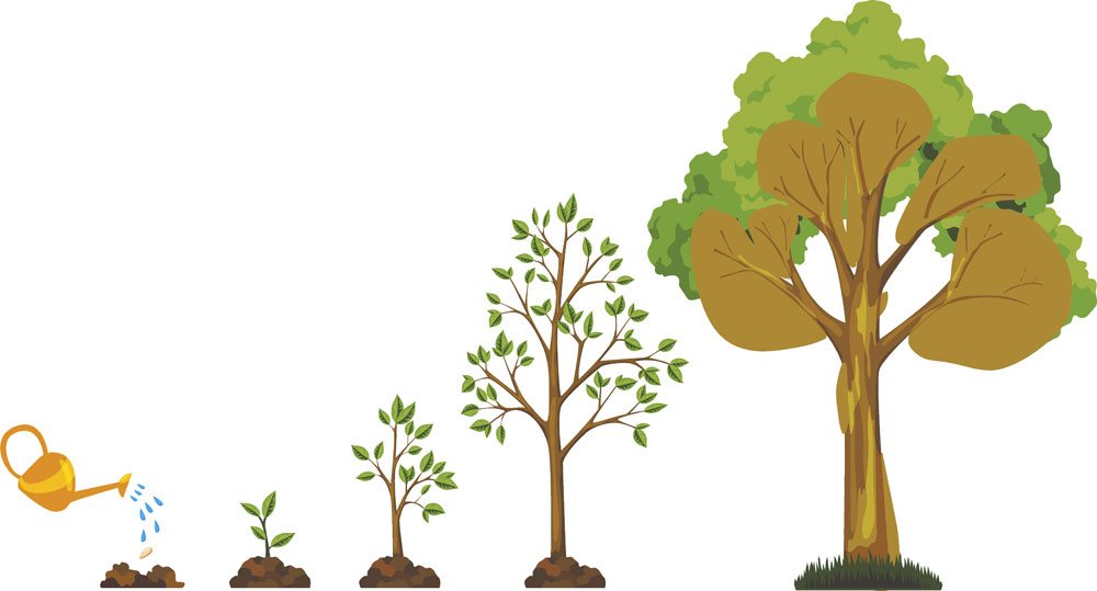 trees-Clare-Baker-img